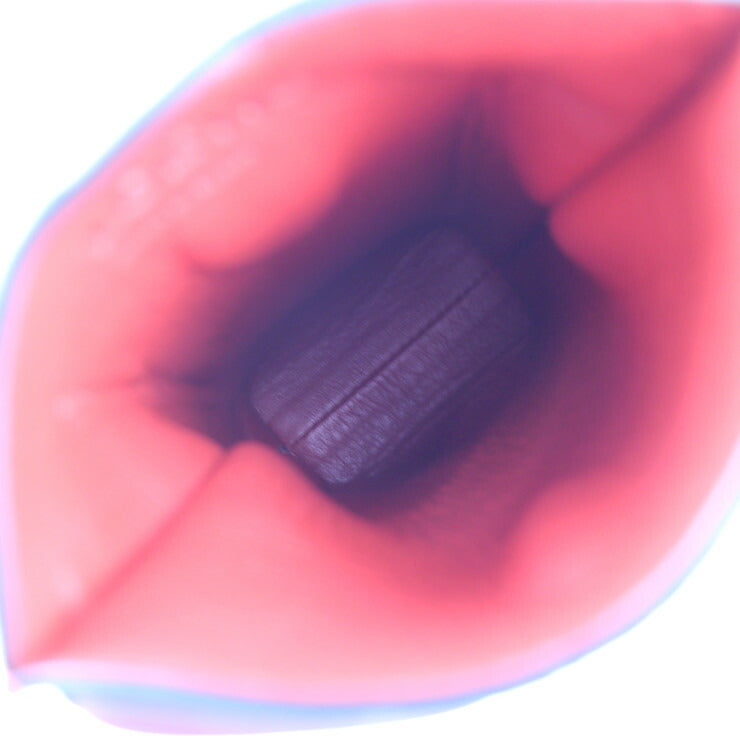 超美品 LOEWE ロエベ ゲート ポケット ショルダーバッグ 124.12.Z45 カーフスキン レザー POPPY PINK ピンク系 シルバー金具 フォンケース ポシェット アナグラム