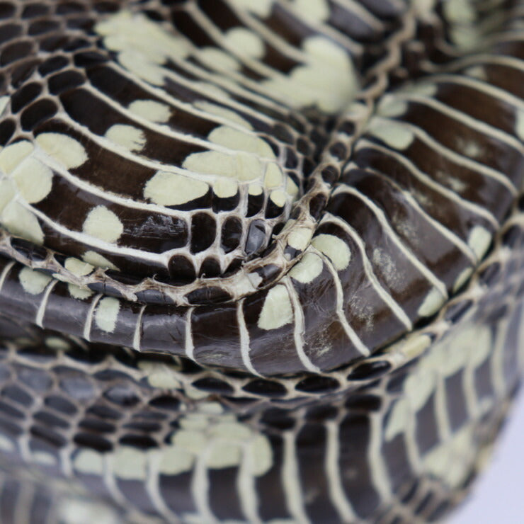 美品 BOTTEGAVENETA ボッテガヴェネタ バッグ ショルダーバッグ - パイソン ブラウン系 クリーム系 ポシェット