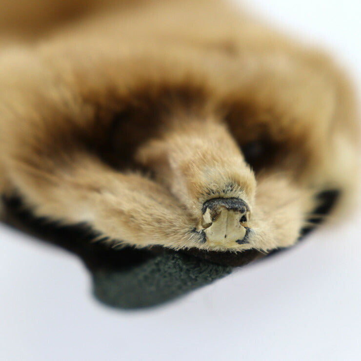 David Green デビッド グリーン 襟巻 マフラー - ミンク ブラウン ティペット 毛皮