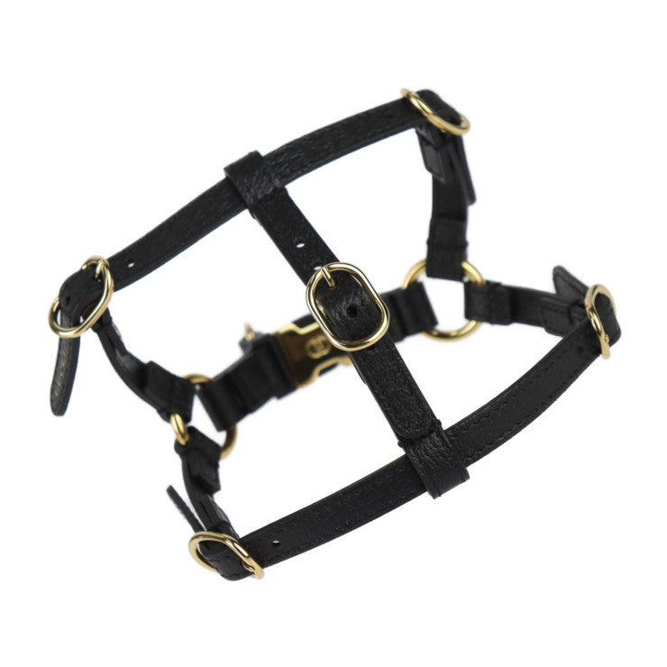 新古未使用展示品 GUCCI グッチ 犬用 ハーネス その他雑貨 692965 表記サイズ XS レザー ブラック ゴールド金具 ドッグ ペット