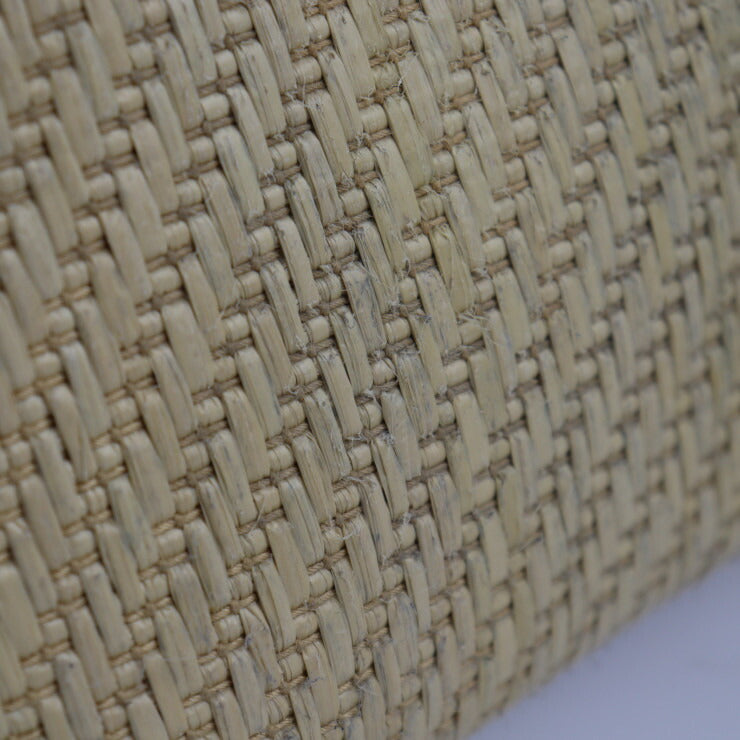 美品 Michael Kors マイケルコース Izzy Medium イジー ミディアム トートバッグ 30T1GZYT8W ストロー パイソン型押しレザー ナチュラル ゴールド金具 ショルダーバッグ