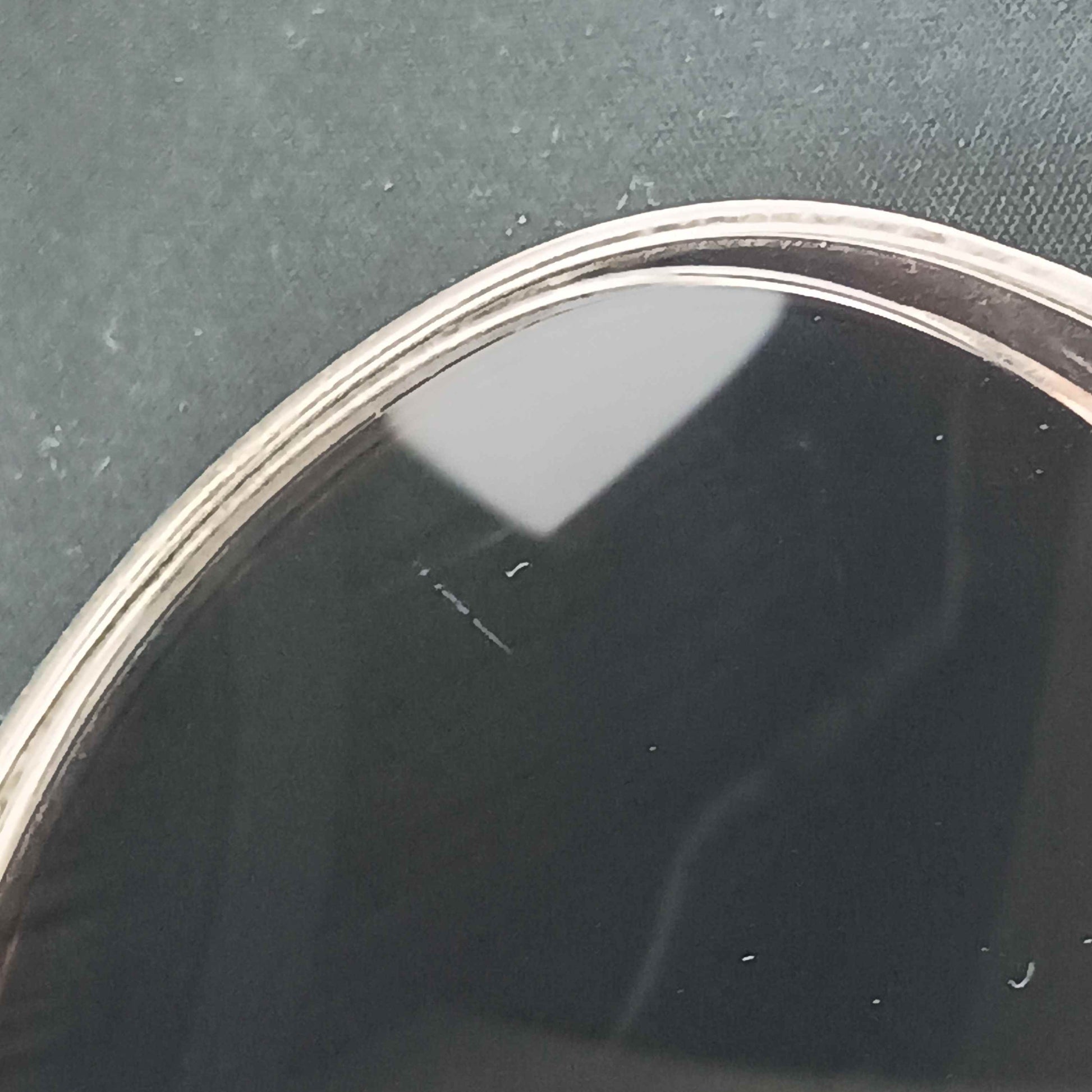 CHANEL シャネル アイウェア グラデーション サングラス POLARIZED 4208 ブラウン プラスチック メタル レディース