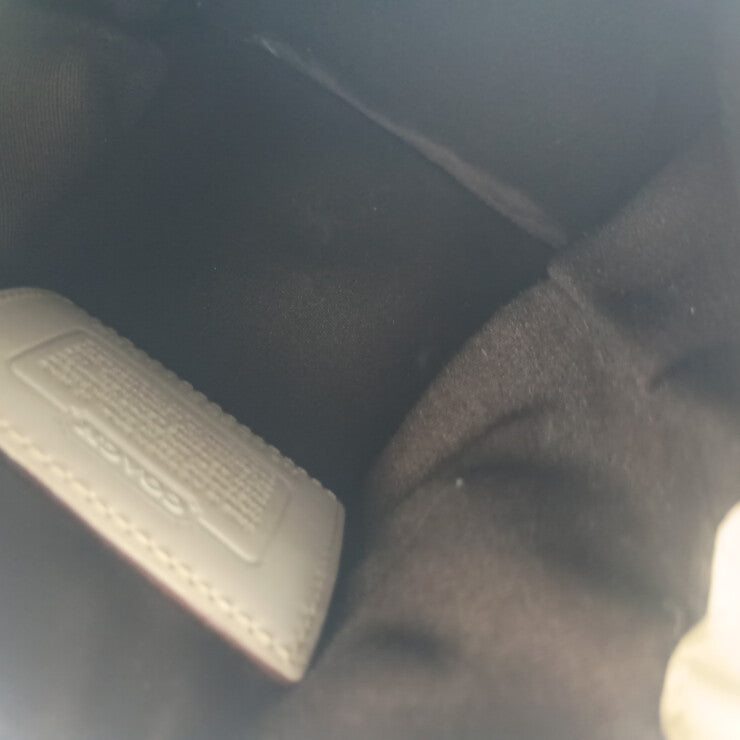COACH コーチ ショルダーバッグ オプティックシグネチャー 10362 アイボリー系 キャンバス レザー レディース ゴールド金具 美品