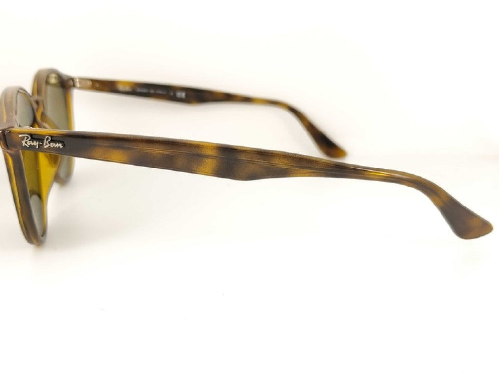 Ray-Ban レイバン サングラス RB4305-F ブラウン系 プラスチック メンズ