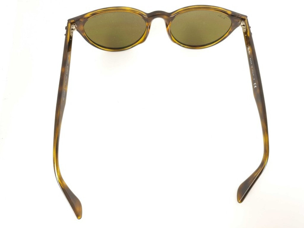 Ray-Ban レイバン サングラス RB4305-F ブラウン系 プラスチック メンズ